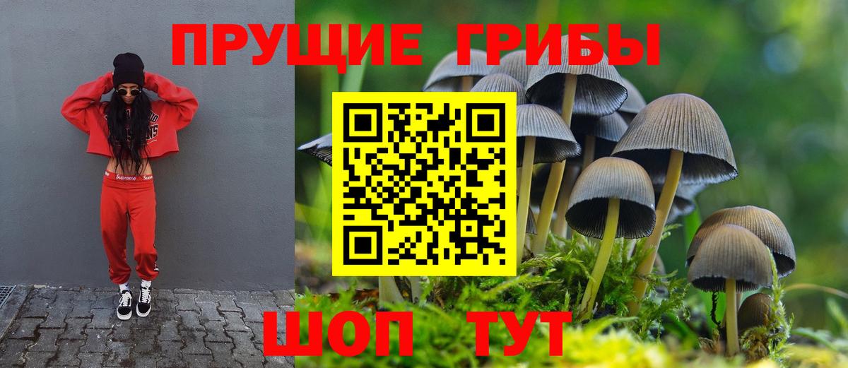 Псилоцибиновые грибы MAGIC MUSHROOMS Камышин