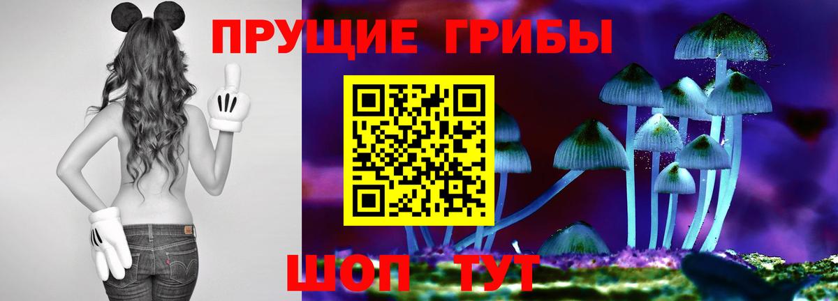 Камышин  Галлюциногенные грибы мицелий  купить закладку  Вход с VPN 